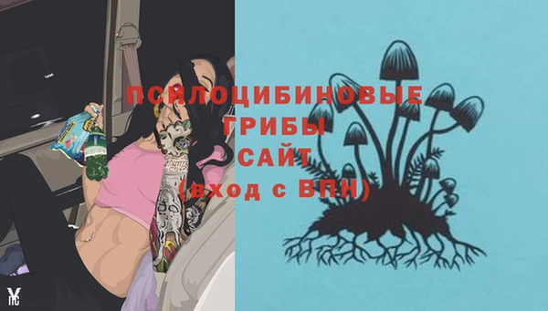 apvp Алзамай