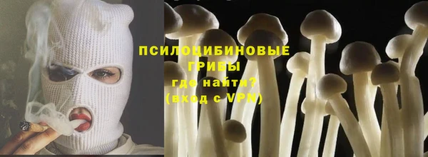 гидропоника Алексеевка