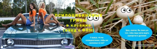 таблы Алексин