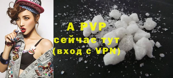 apvp Алзамай