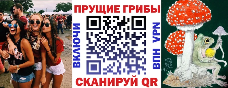 Галлюциногенные грибы Psilocybine cubensis Пошехонье